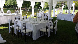 Tables, Chairs, Linens